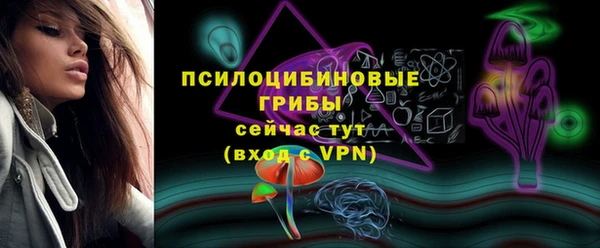 бошки Алзамай