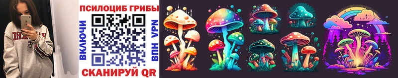 закладка  Еманжелинск  Псилоцибиновые грибы Magic Shrooms 
